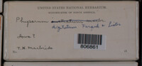 Image Associated With the Occurence